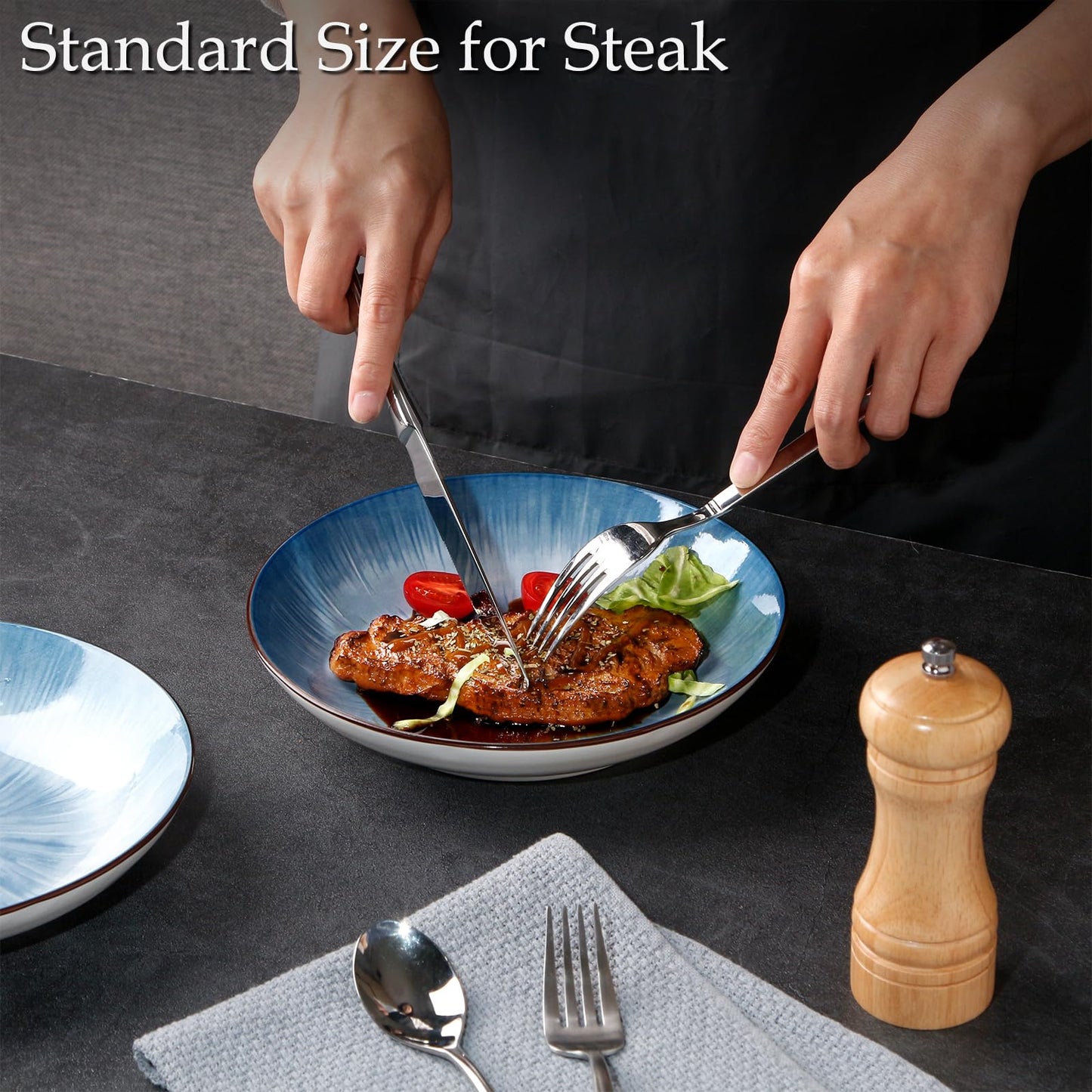 NUTRIUPS 10.5''Dinner Plates Set of 4, 26.5cm Dinner Plates Ceramic, Salad Plates, Blue Plates-Microwave & Dishwasher Safe