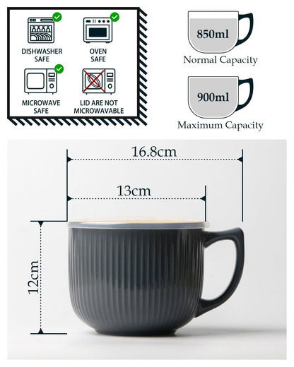 NUTRIUPS Soup Bowls with Handles, 900ml Microwave Soup Bowl with Lid, Soup Mug with Handles, Bowl for Ramen, Noodle, Porridge (Grey)